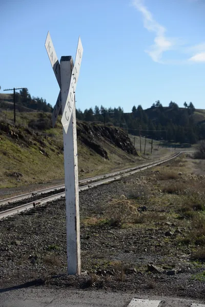 DSC_1088 (Large).JPG